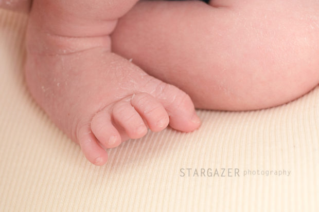 Newborn Photography Perrysburg Ohio